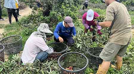 Ministries discuss expansion of agricultural migrant worker program