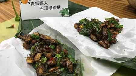 Don't let it bug you: Experts want bigger role for edible insects in Taiwan
