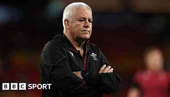 Gatland 'has our full support' says WRU chairman