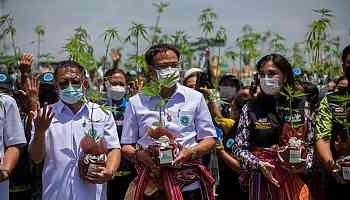 Thailand To Reverse Cannabis Re-Criminalization Plan
