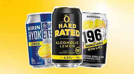 9 Best Alcoholic Lemonades for Crushing Your Thirst
