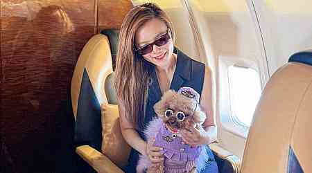 I spent $38,000 to take my toy poodle on a private jet to Japan. I want to plan a trip for my other dogs next.