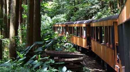 Alishan Forest Railway makes return to full service after 15 years
