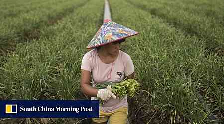 Can a new Chinese law on rural rights finally give women their promised land?