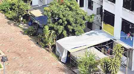 Faeces and cigarette butts: Frustrated ground-floor residents at Circuit Road install awnings to combat litter