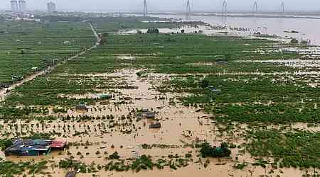 Vietnam farmers lose their blooms as floods claim crops