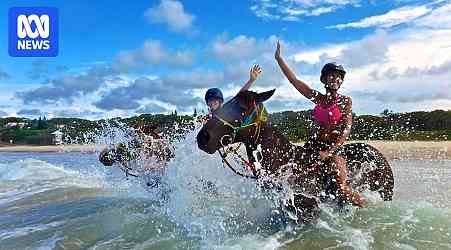 Tourists from 'all over the world' have ridden horses on this beach, but it's time to hang up the reins