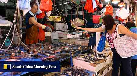 13 more Hong Kong patients found to have potentially deadly infection linked to fish