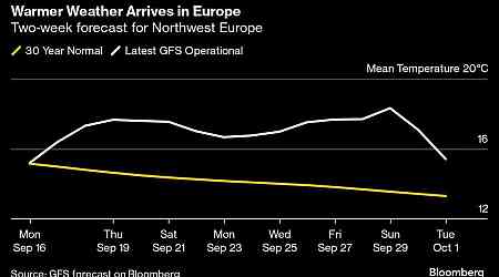 European Gas Prices Drop as Cold Snap Gives Way to Mild Weather