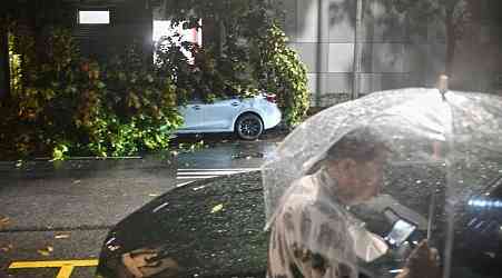 Trees uprooted as strong winds and heavy rain batter Singapore