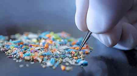 Microplastics Found in Brain Affect One Sense in Particular, Study Finds