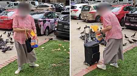 Man confronts woman who feeds pigeons daily in Bukit Merah despite action by NParks