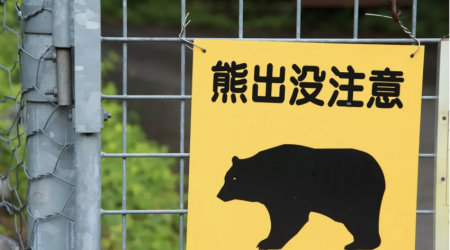 Japanese mom says she kicked wild bear while holding baby in her arms after sudden scary encounter