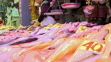 'Freshwater fish infection outbreak worrying'