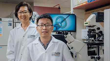 Singapore researchers discover how to reverse age of older women's eggs