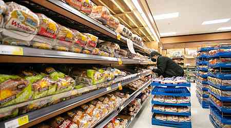 A timeline of events in the bread price-fixing scandal