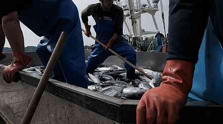 Japan Eyes Deal to End Chinese Ban on Seafood Imports, Media Say