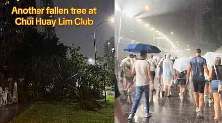 Fallen trees, drenched F1 goers: Singapore hit by another round of strong winds and heavy rains