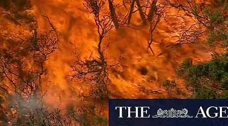 Bushfire warning in Sydney's north downgraded as conditions begin to ease