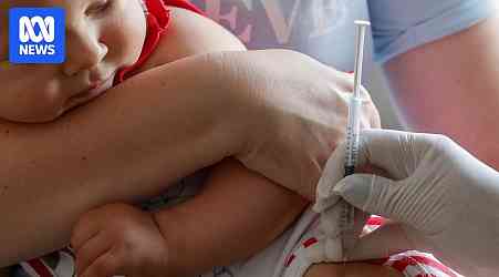 Tasmania in early stage of whooping cough epidemic as authorities urge vulnerable to vaccinate