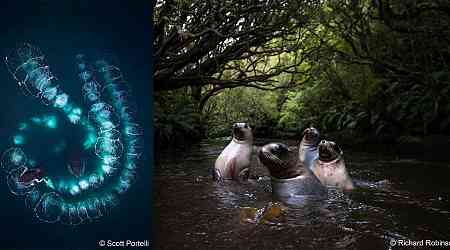 Photo Competition Celebrating Nature in Australia Reveals its Winners