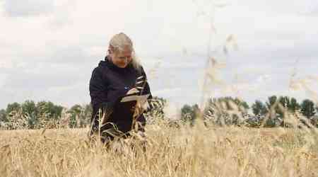 Climate change is impacting weeds on the Prairies. Here's how some people are fighting back