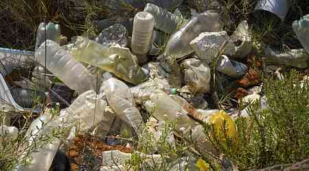 Has a UC Berkeley chemistry lab discovered the holy grail of plastic recycling?