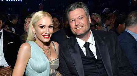 Gwen Stefani and Blake Shelton Adopt Baby Kitten They Nursed Back to Health