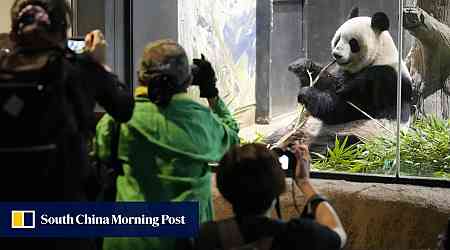 Teary-eyed fans throng Tokyo zoo to bid farewell to China-bound pandas