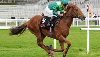 Wayne Bailey: Roi De France looks set to give John Gosden his sixth Cambridgeshire win