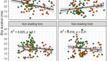 Hoof slip duration at impact in galloping Thoroughbred ex-racehorses trialling eight shoe-surface combinations