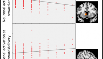 Impact of Early Life Adversity on Reward Processing in Young Adults (2014)