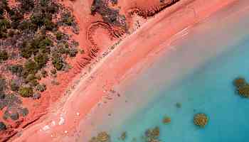 Take a mangrove foraging tour with Broome's Aboriginal custodians in Australia