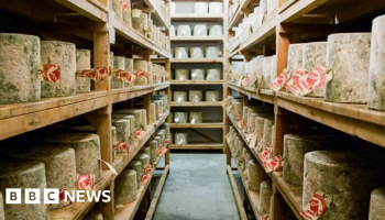 Stolen cheddar might be heading to Russia, supplier tells BBC