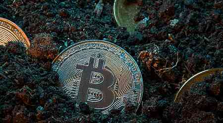 Bitcoin Will Thrive After All Coins Have Been Mined Data Now Shows