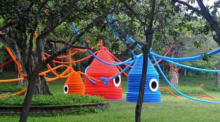 Family of Giant Squids Takes Over Park in Taiwan