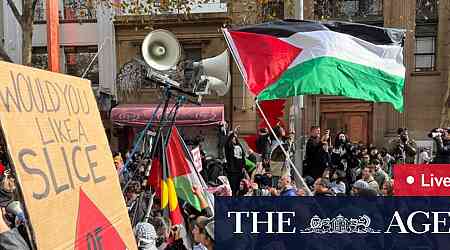 Melbourne pro-Palestine protest LIVE updates: Demonstrators gather in CBD as war in Middle East intensifies