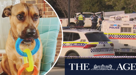 Family call for answers after police shoot dog