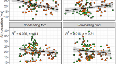 Hoof slip duration at impact in galloping Thoroughbred ex-racehorses trialling eight shoe-surface combinations