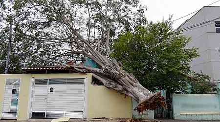 Eight dead as heavy rain thrashes Brazil after long drought