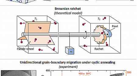 New insights into grain boundary kinetics challenge traditional views