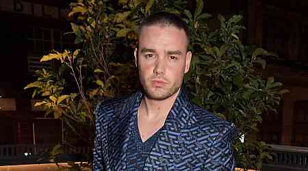 What Did Liam Payne Say About His Struggles With Drugs and Alcohol?