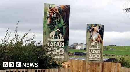 Zoo faces animal welfare and bullying allegations