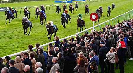 Alphonse Le Grande disqualified from Cesarewitch after jockey judged to have broken whip rules