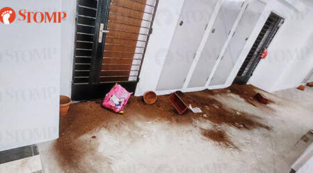 Town council alerts police after Sengkang resident finds soil dumped outside flat