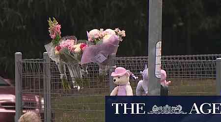 'Deeply loved' toddler mourned after being killed at pedestrian crossing