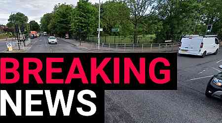 Pregnant woman and unborn baby die in crash with unmarked police car in London