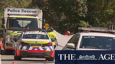 Man and girl killed, two boys injured in regional NSW crash