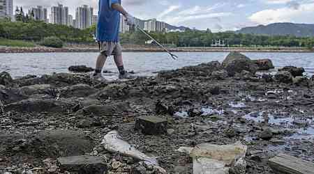 97% of HK's riverbank waste is plastic: Greenpeace