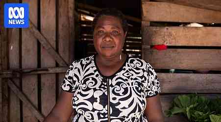 Logging in Solomon Islands sees women 'sold' into relationships with foreign workers